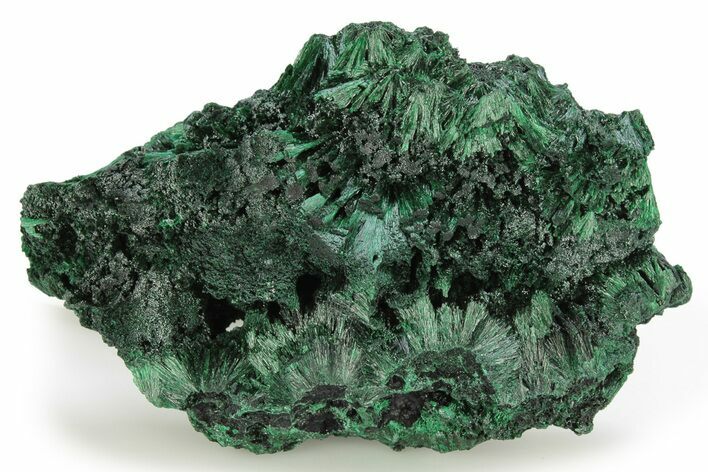 Fibrous Velvet Malachite Cluster - DR Congo #261915